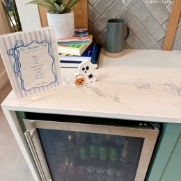 mini fridge with picture on top